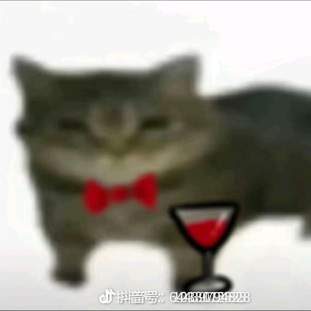 姐姐我不想努力了