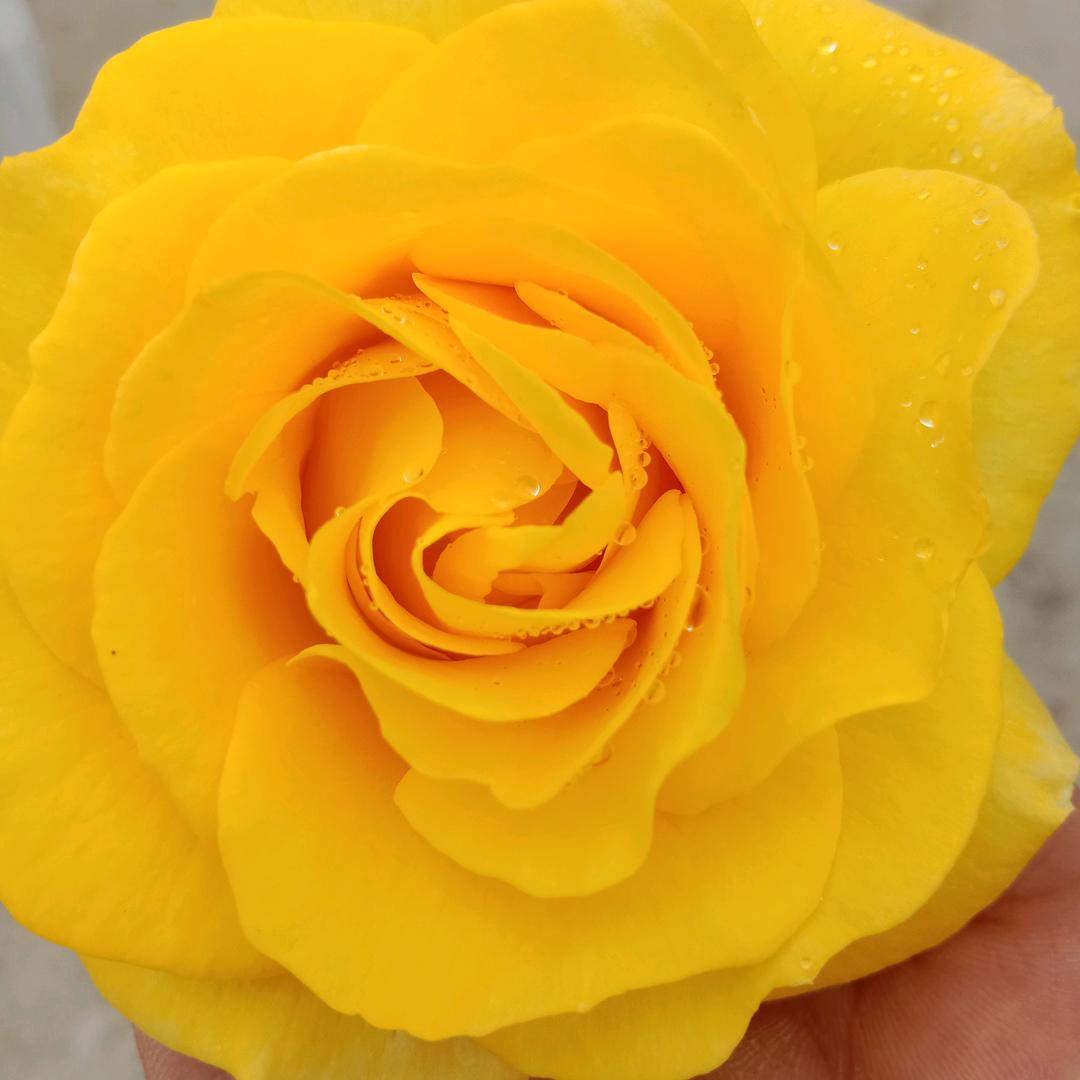 半生劫║余生欢