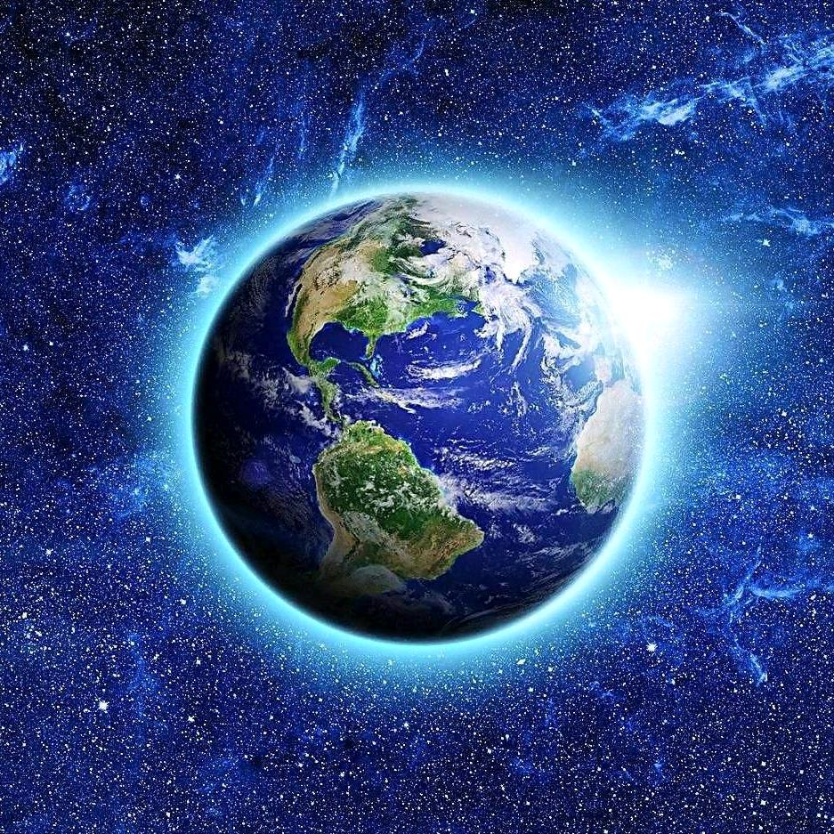 一针一线绣海棠