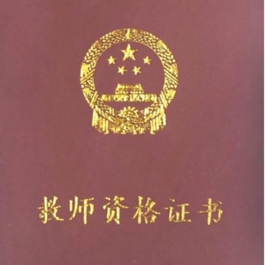 小陈老师聊教资