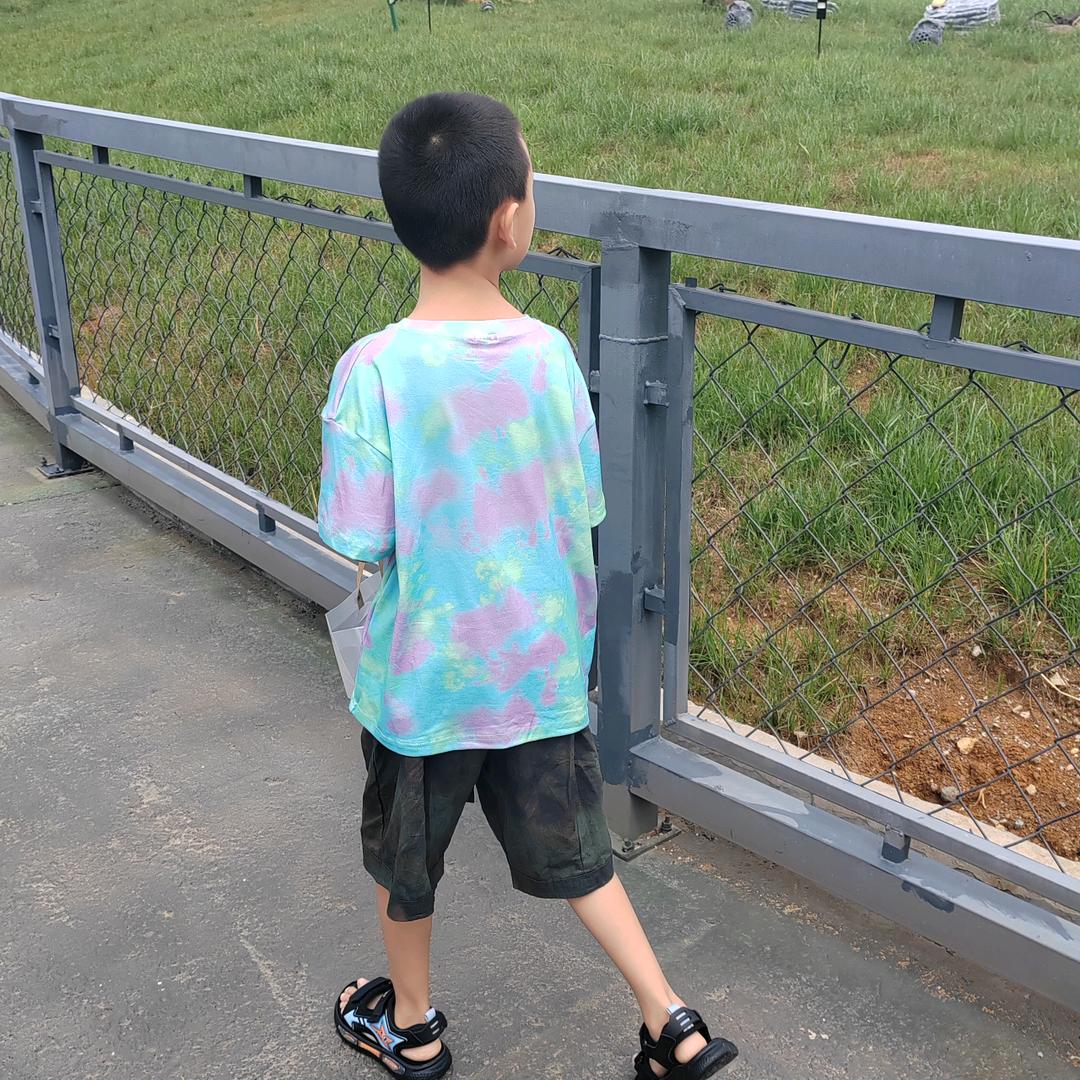 小 雨