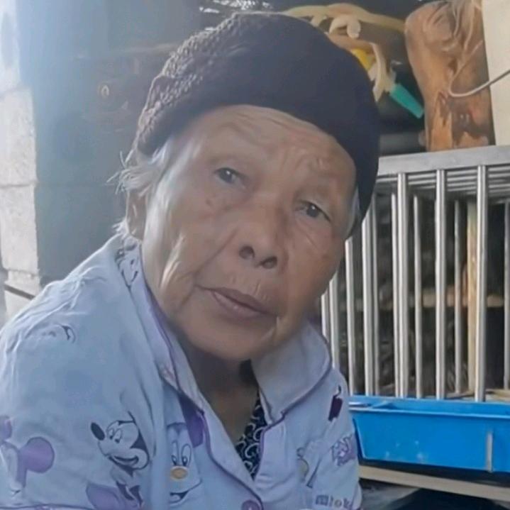 小老太太