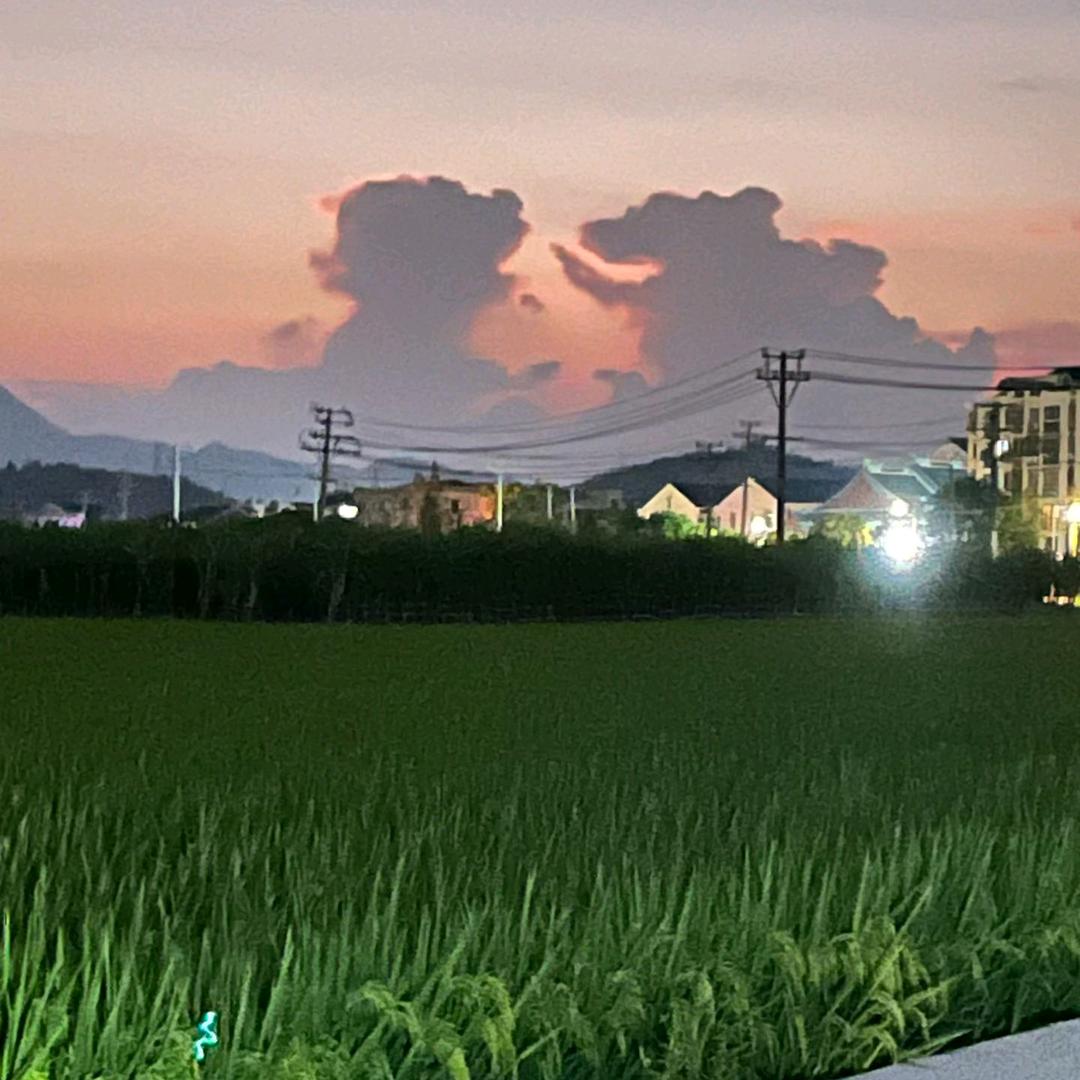 &宠我带来管我 ♥☞