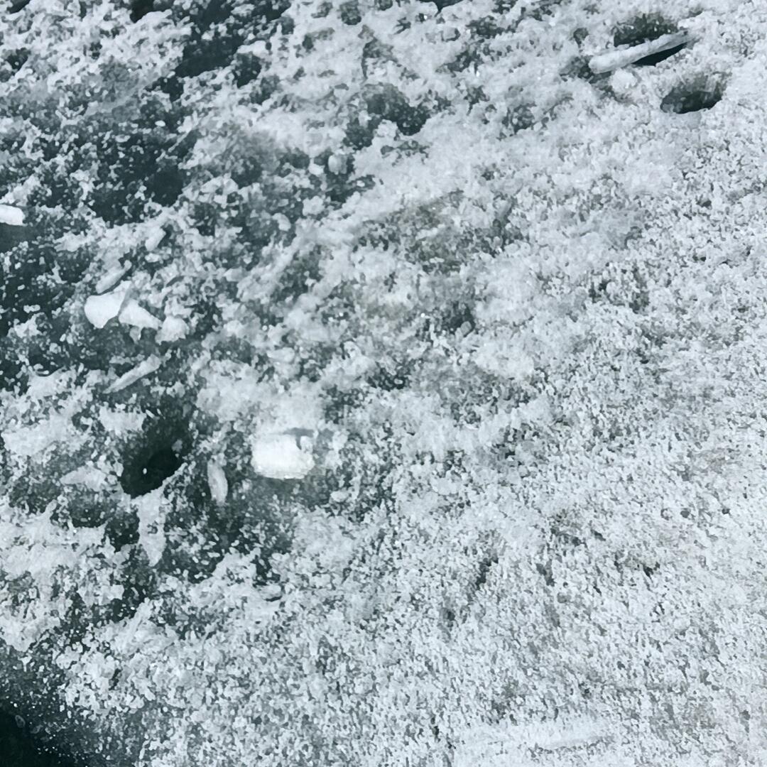 六月雪