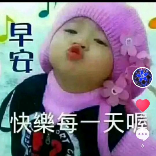无悔🌹🌹