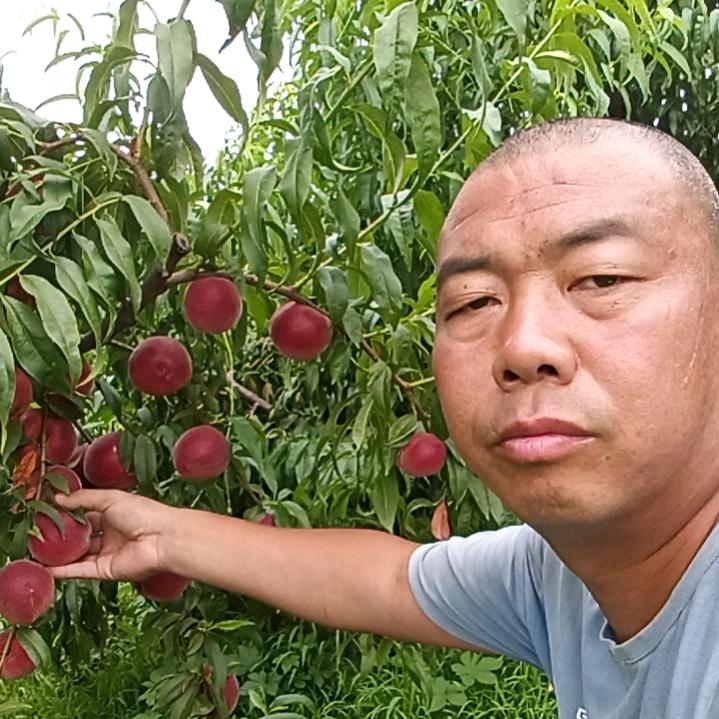 山西—水果明哥——原产地优选🍓🍑?