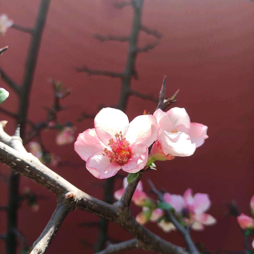 快乐至上
