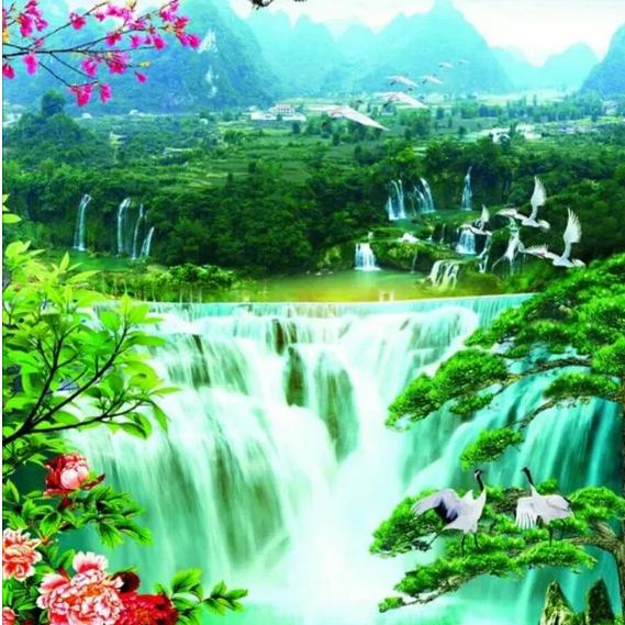 杨恩