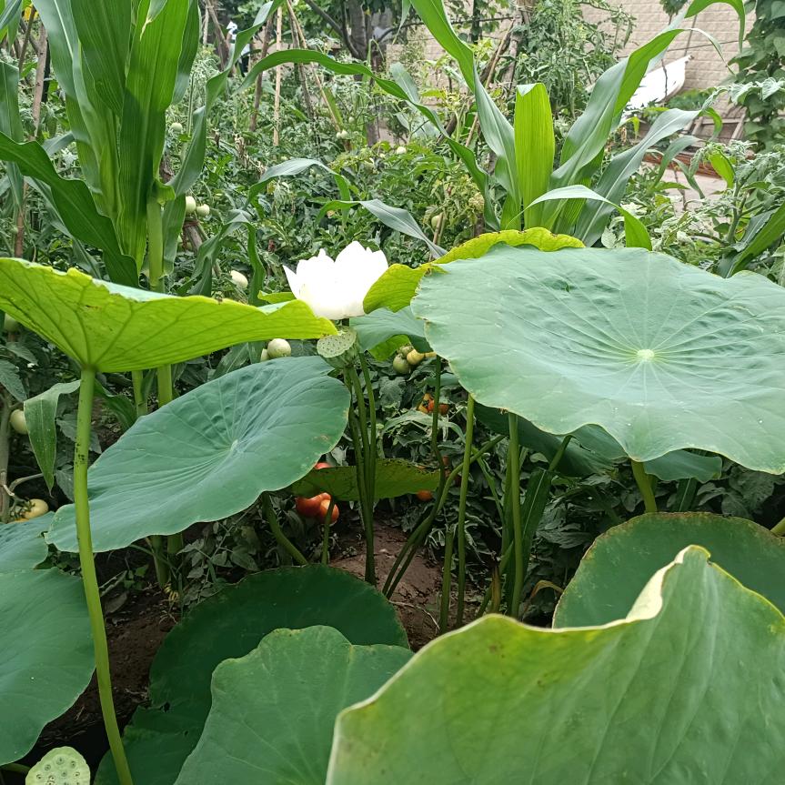 永益贸易