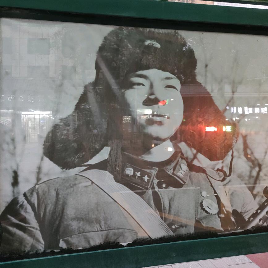 西北狼