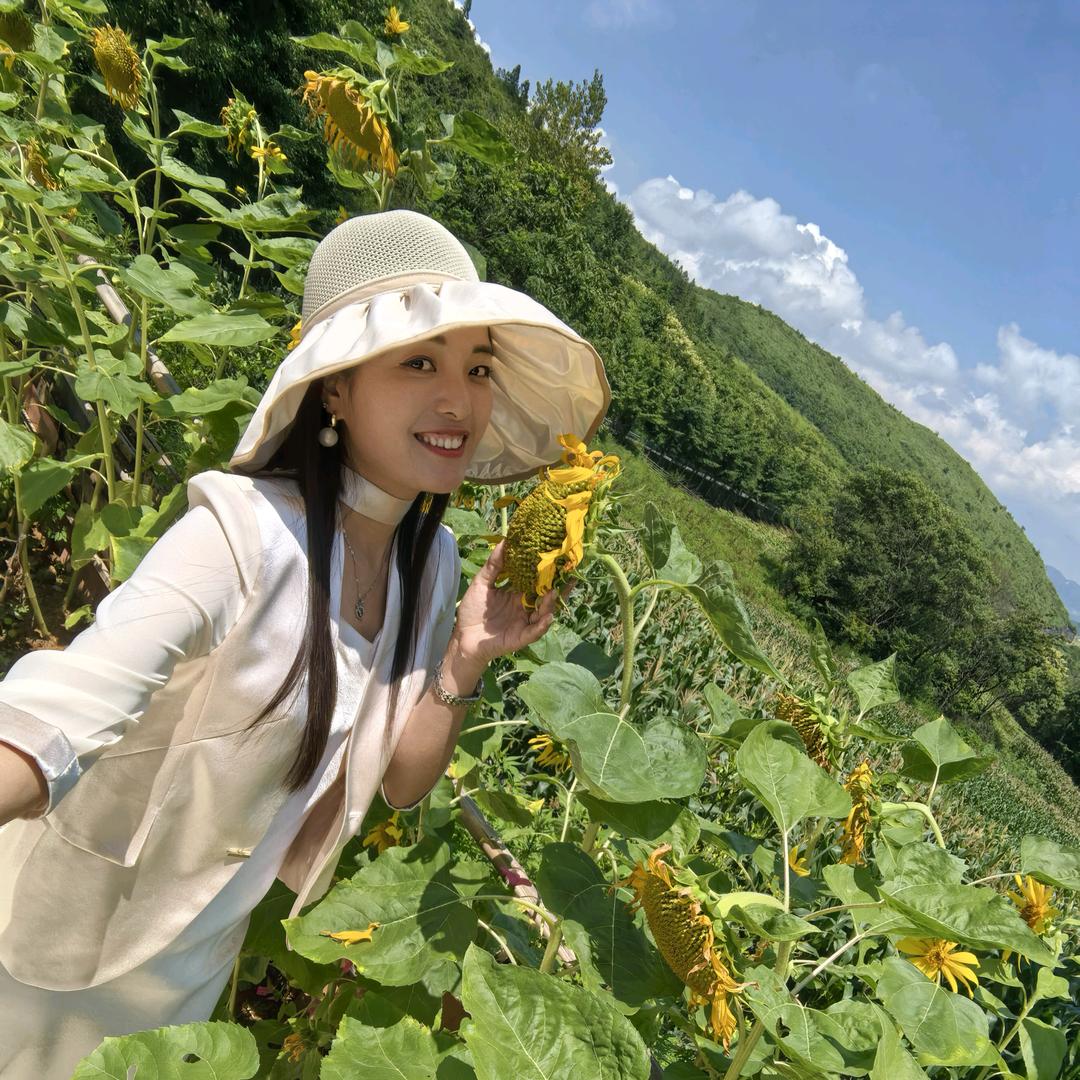 风铃依旧