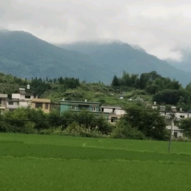 爱的魔力转😇圈😇圈😇