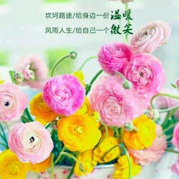 过往云烟