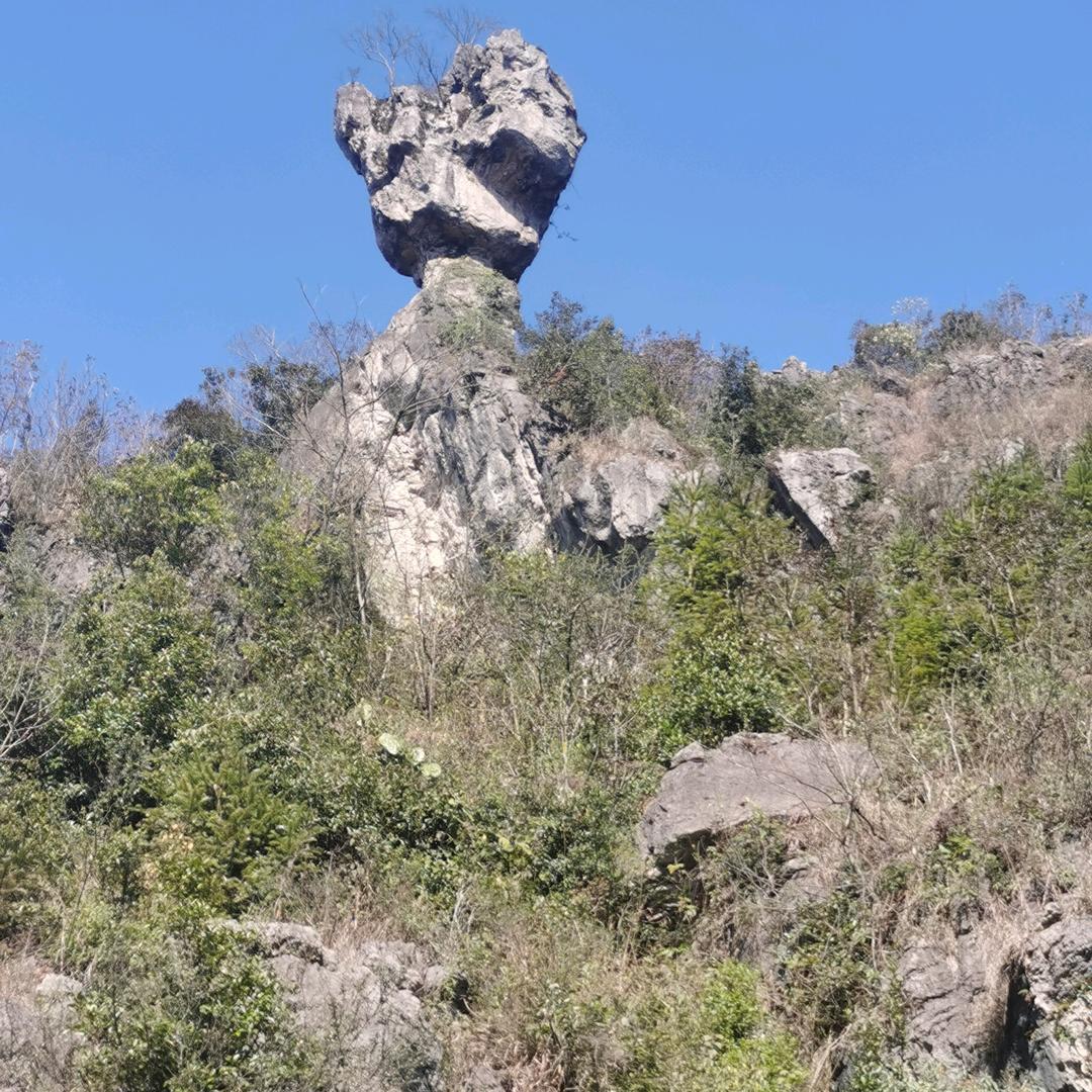福泽
