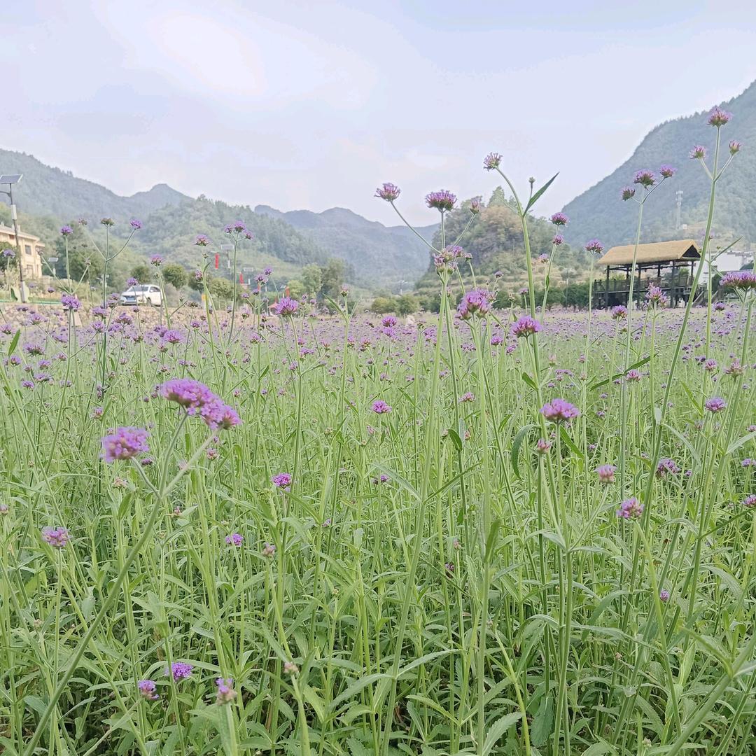 余生可贵