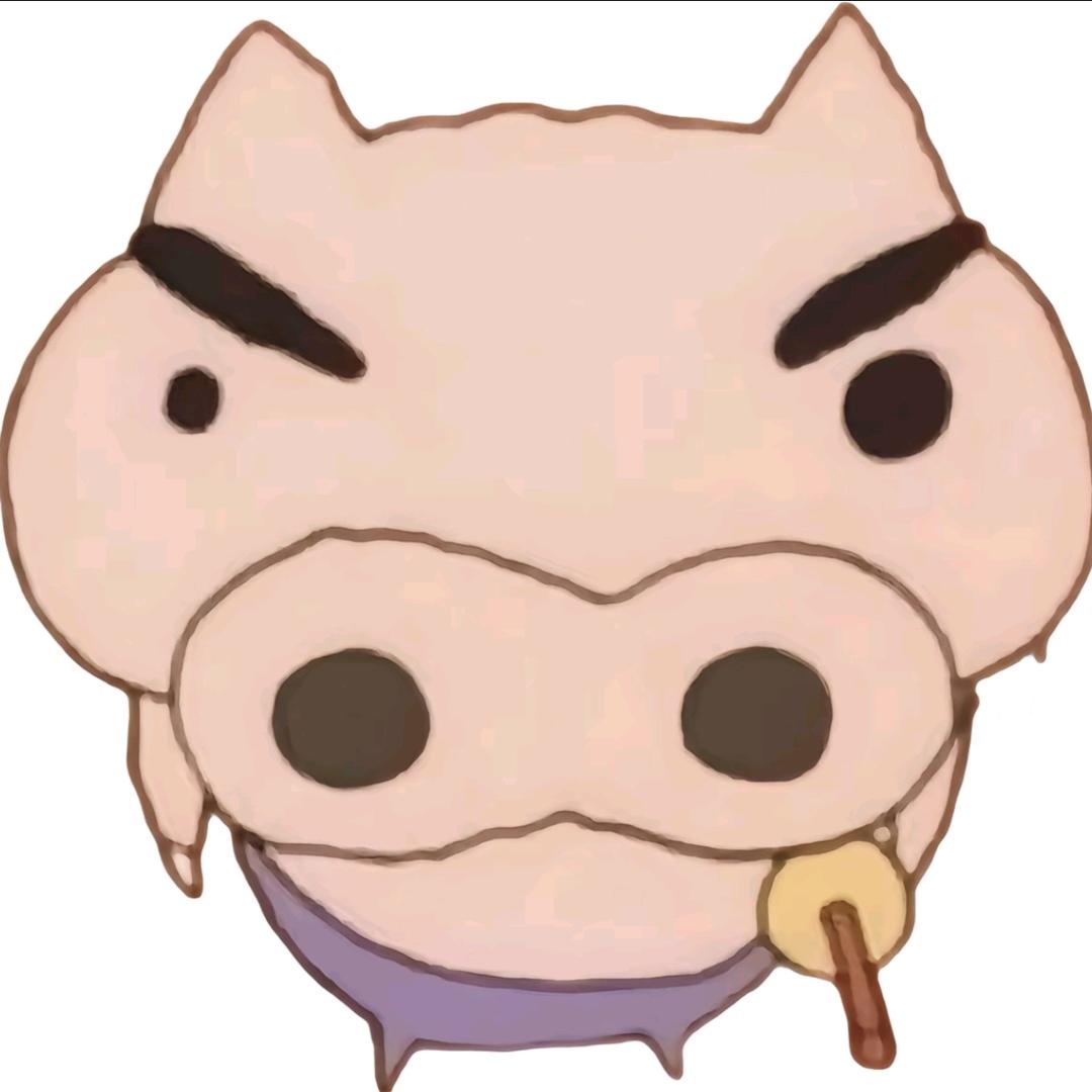 🇸 🇳 🇴 🇼