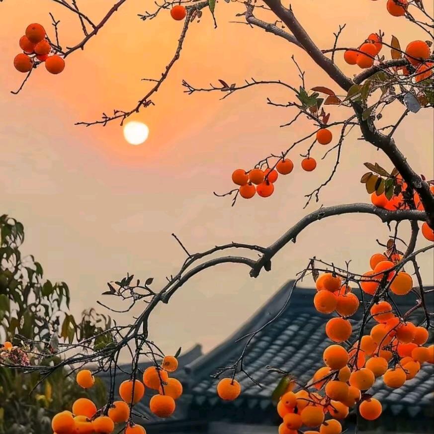 时来运转