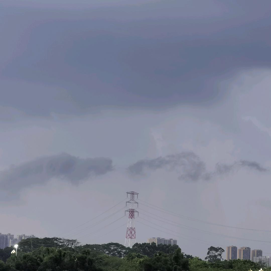 十一总