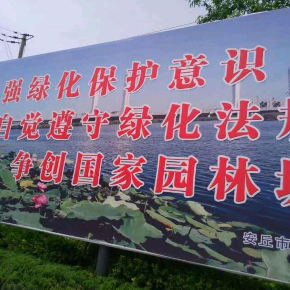 张正园林张正中药材