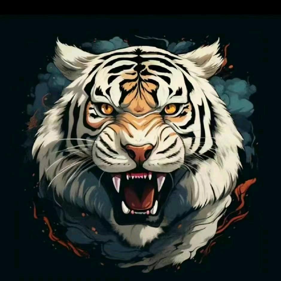 康   巴   汉   子