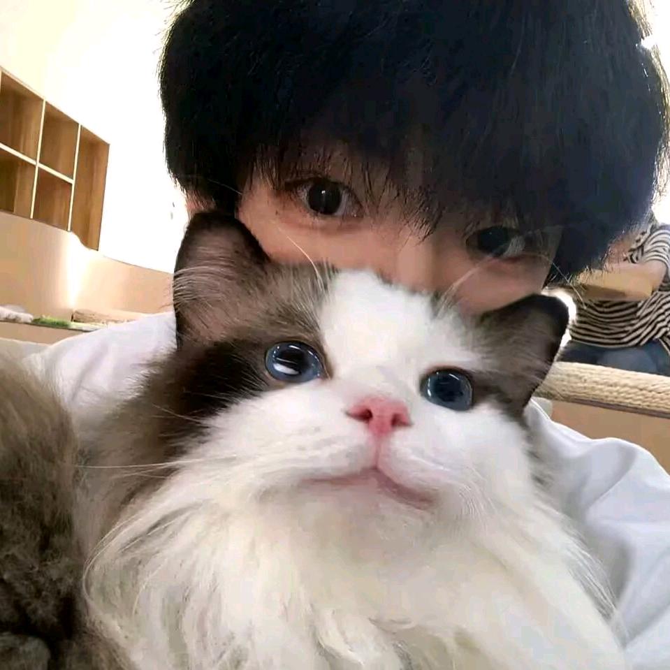 杨7