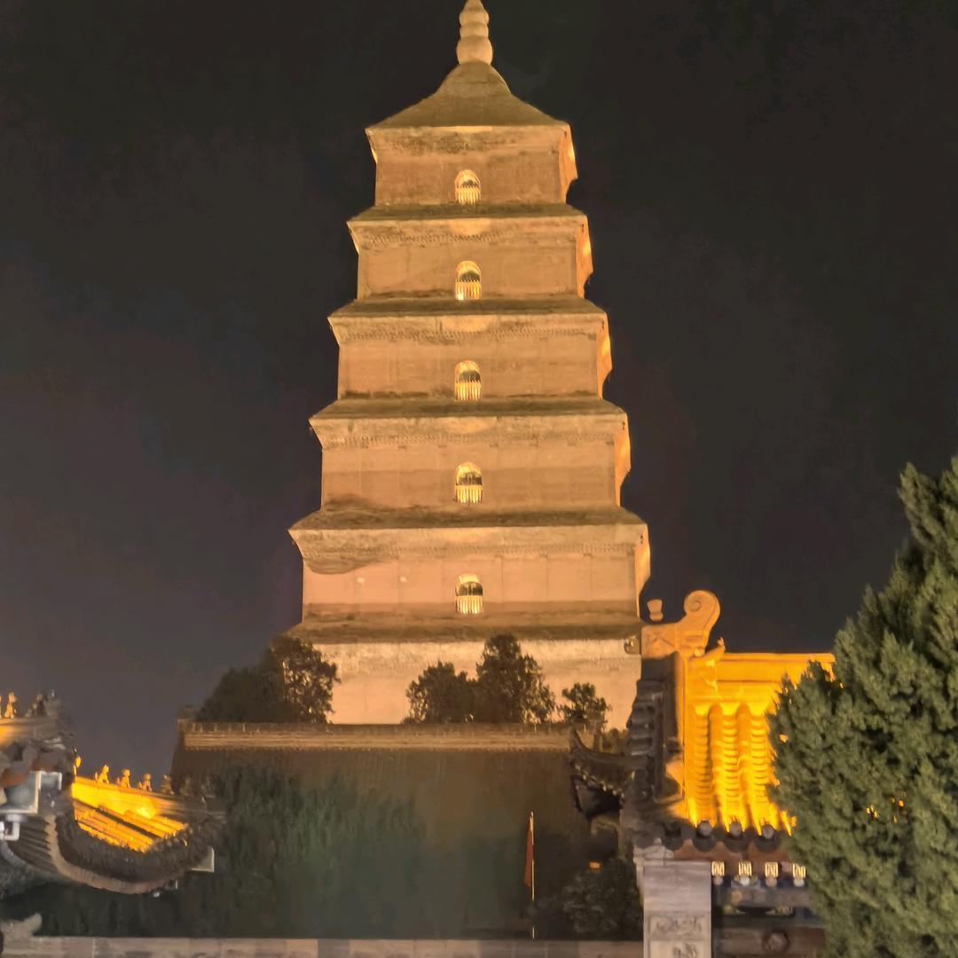 涛涛