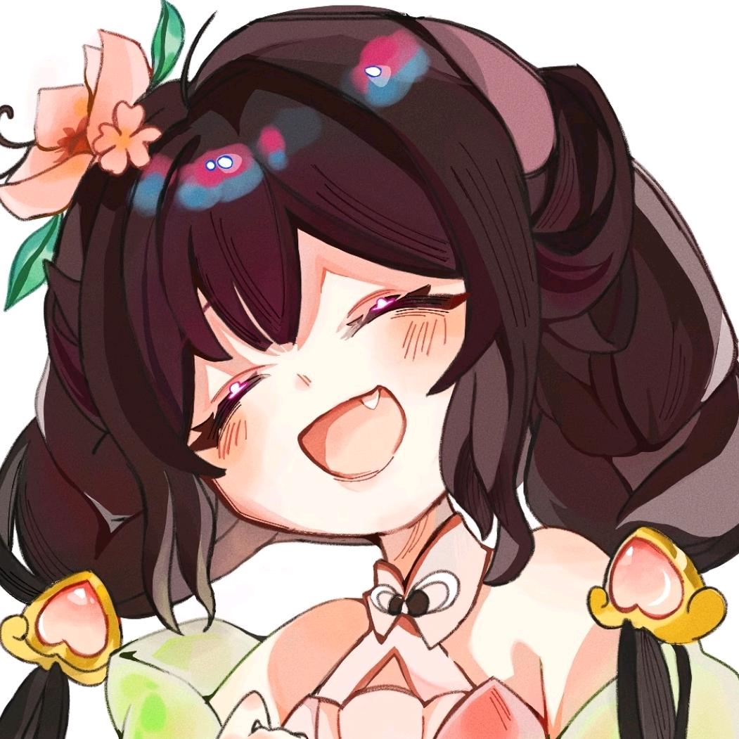 时锦SL