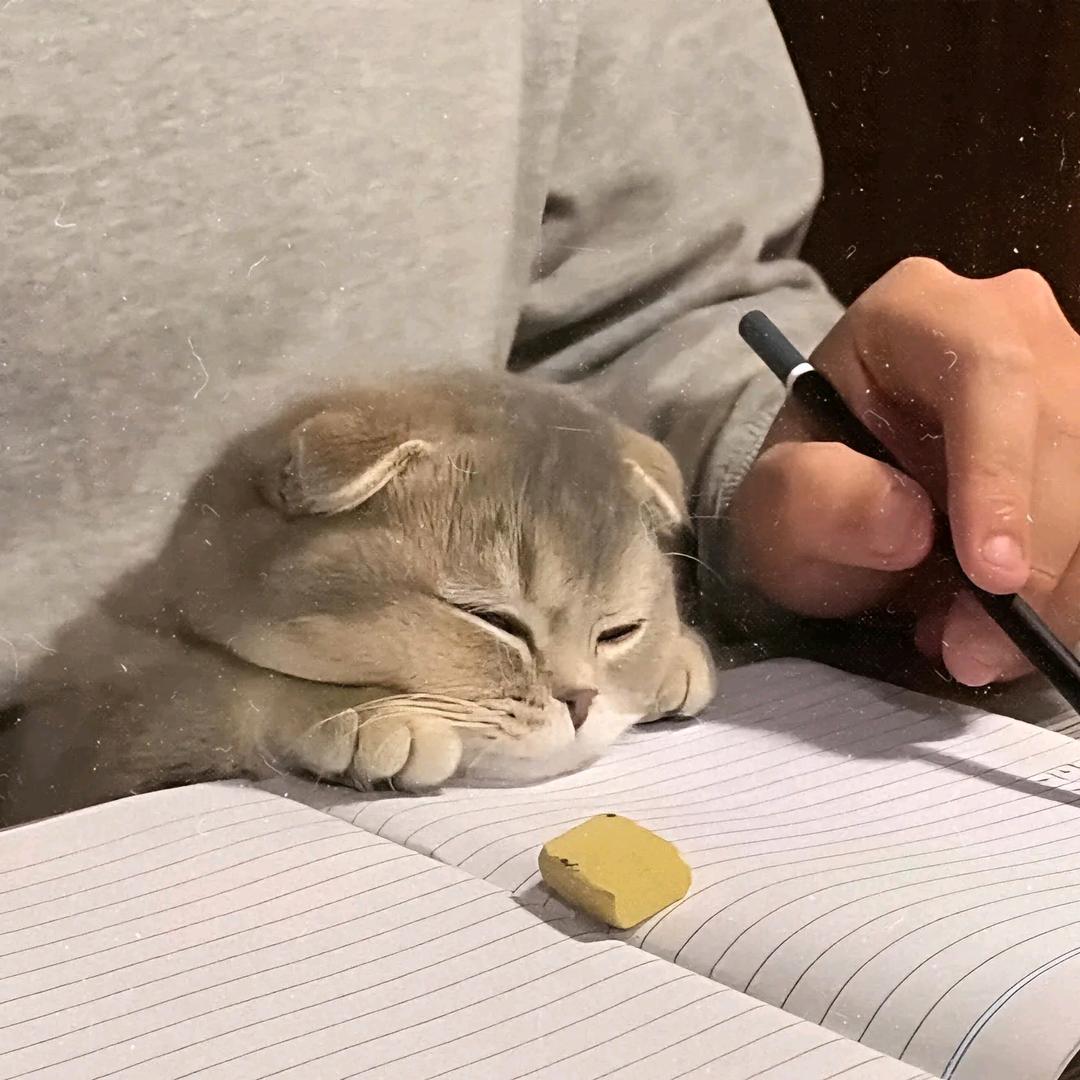 南夕