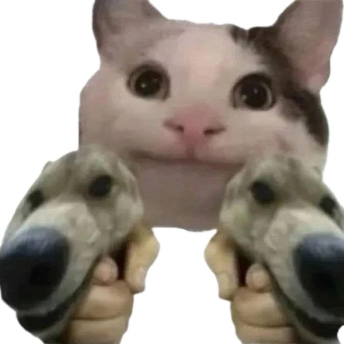 猫meme呦