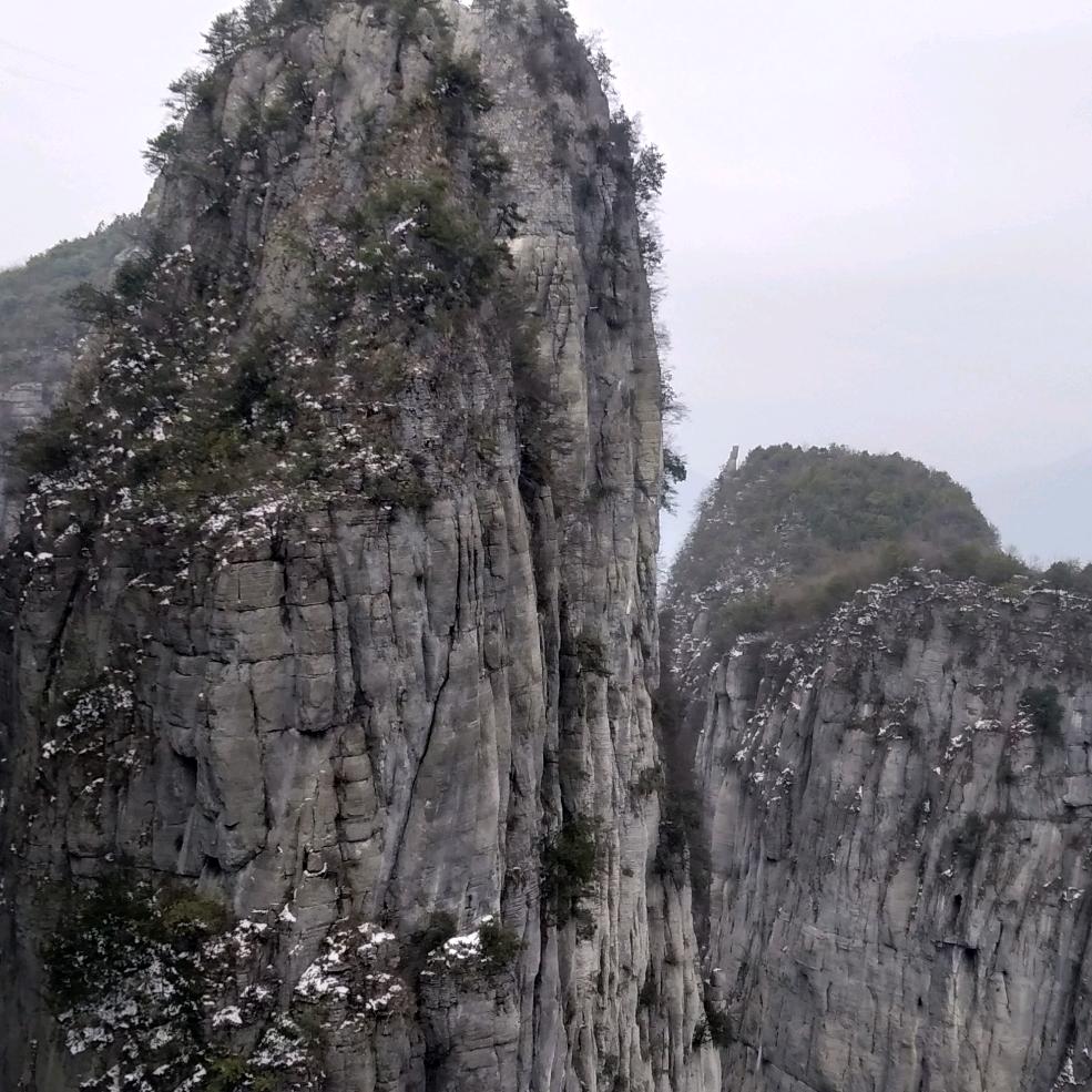流浪