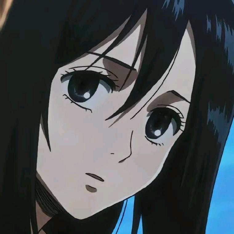 mikasa