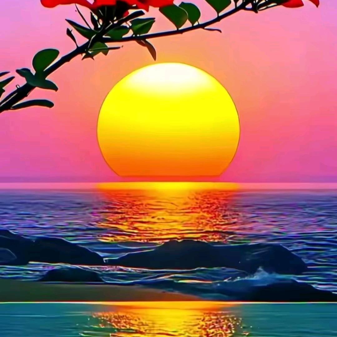 草帽哥