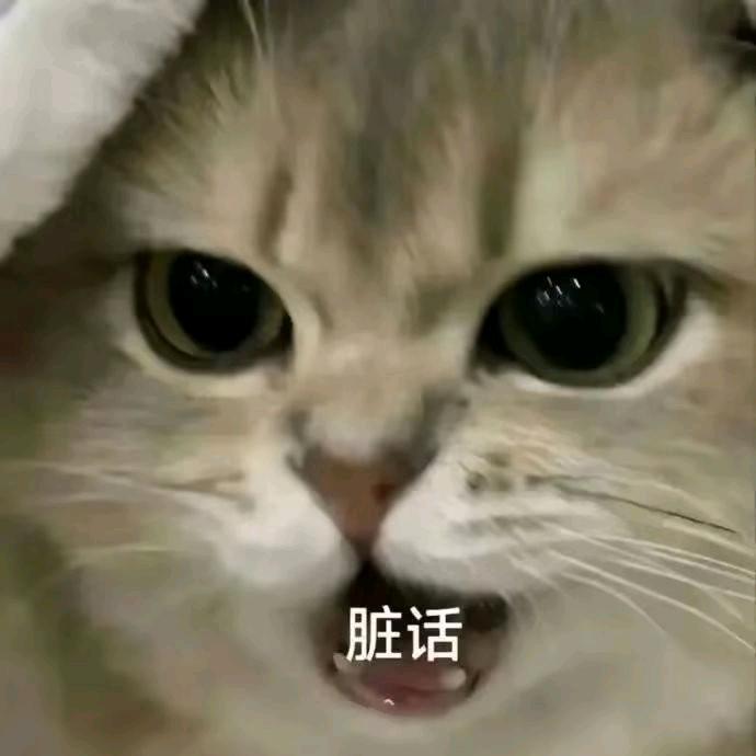 我不是神仙儿~