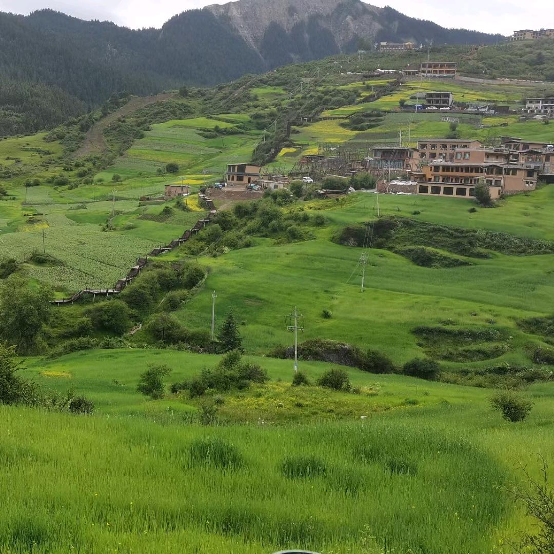 🌹嫣然一笑🌹