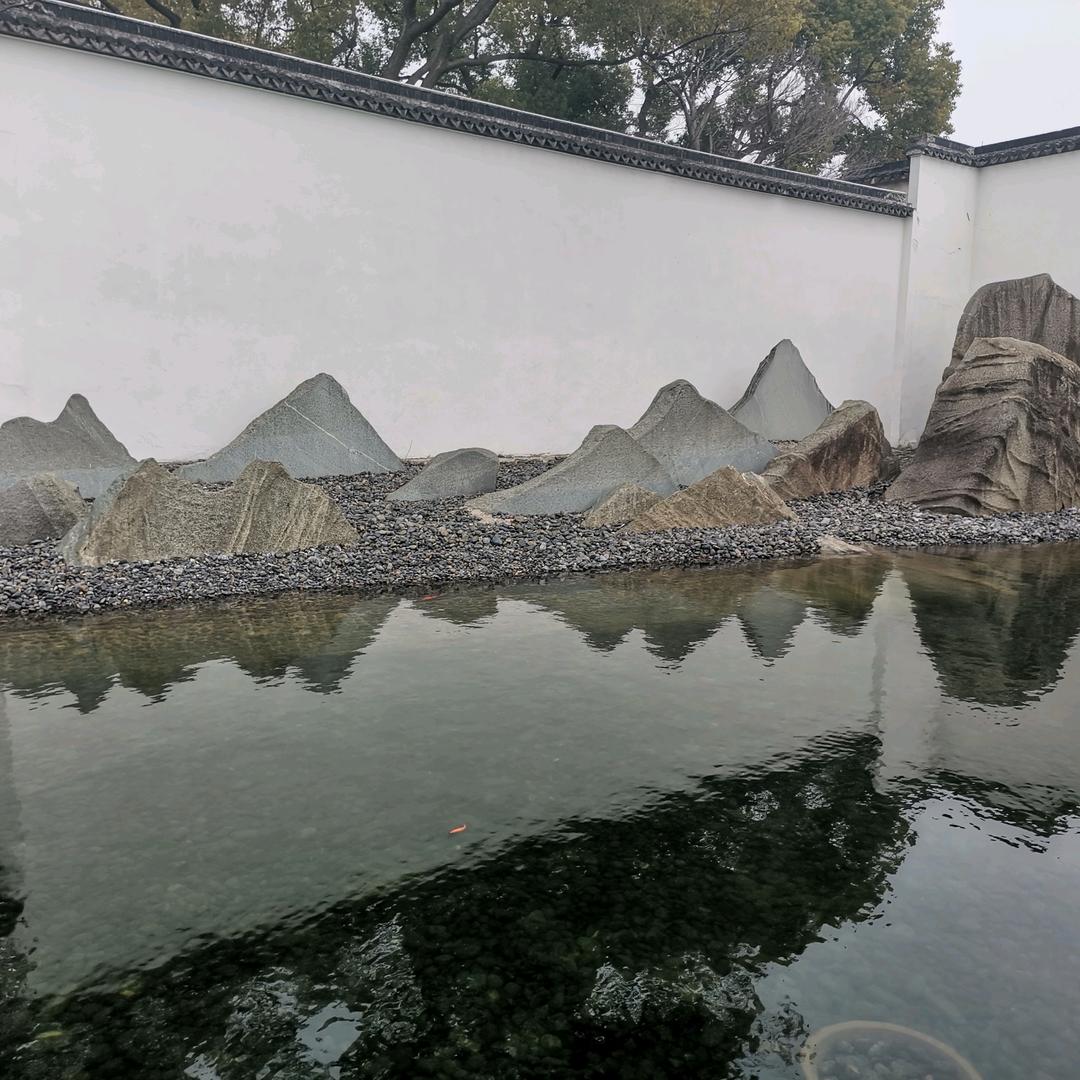 智贤宠物
