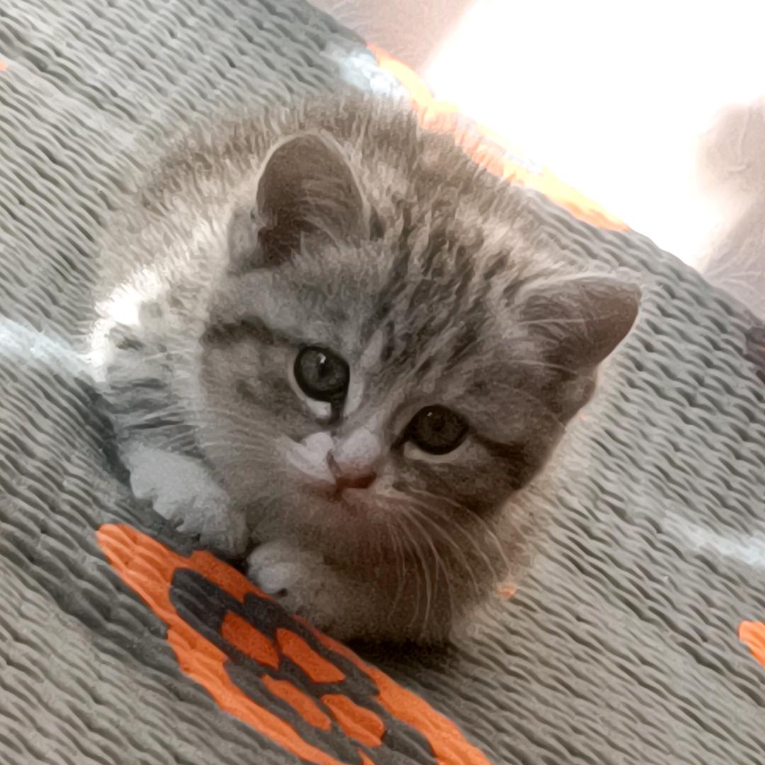 ゆ "淡然、回眸ゝ