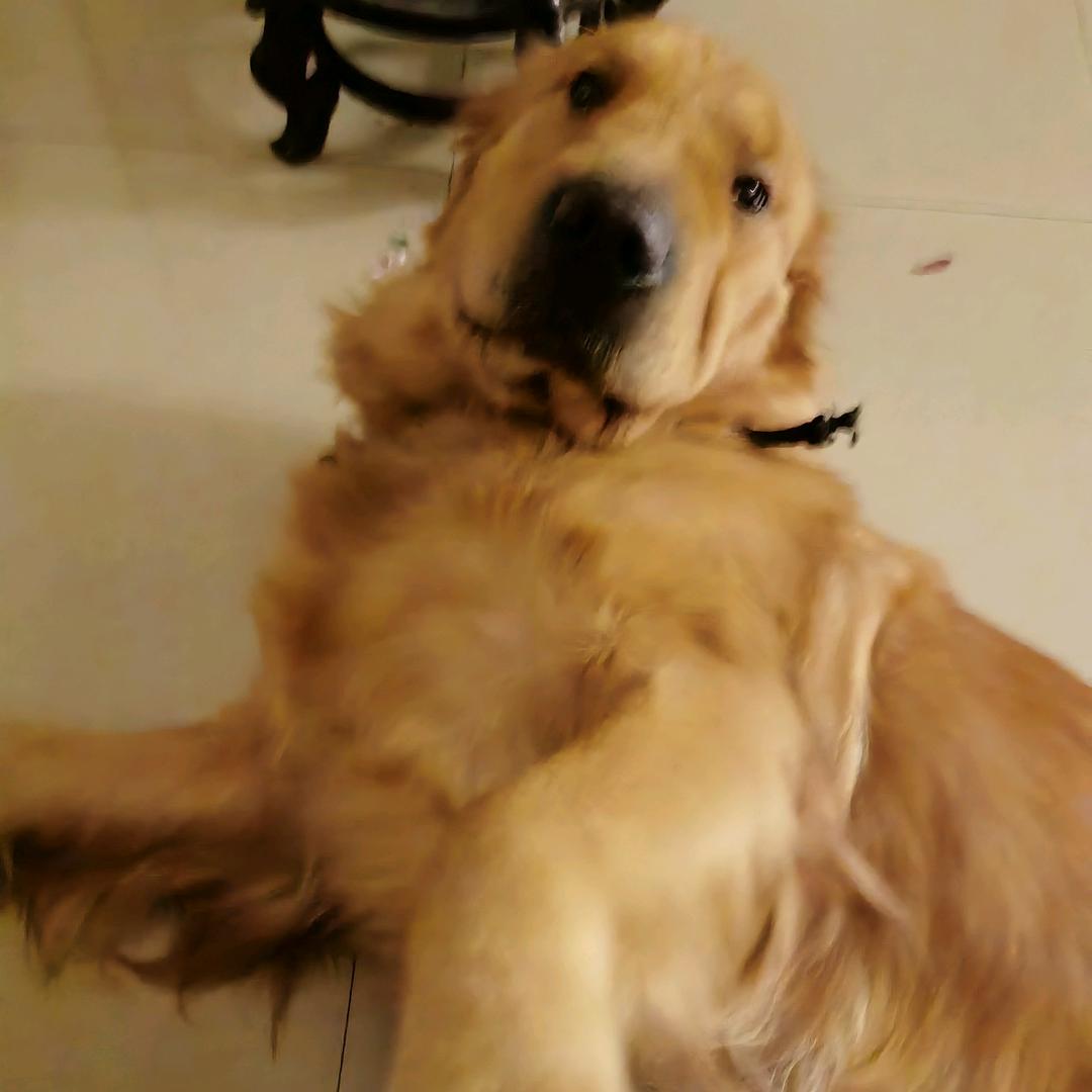 骚气蓬勃的条条