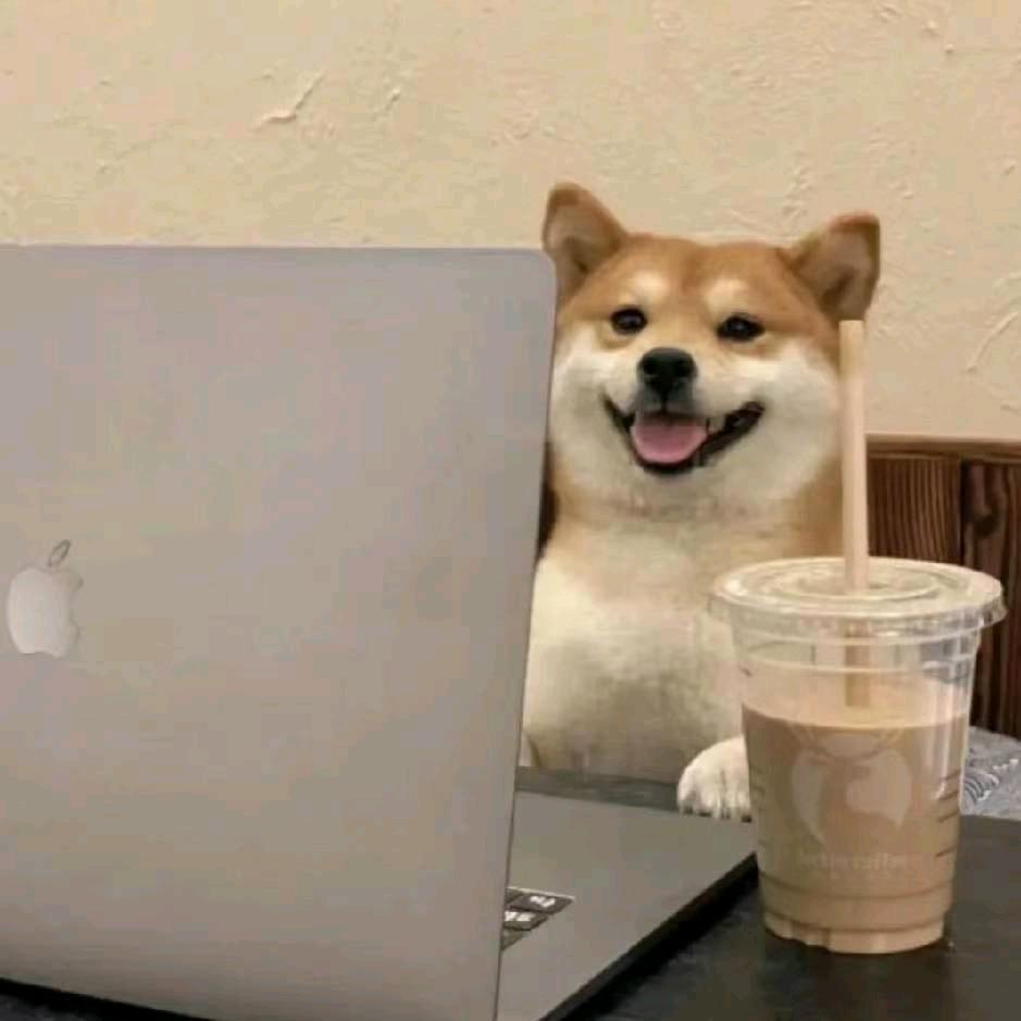 杰哥派大星原创作者