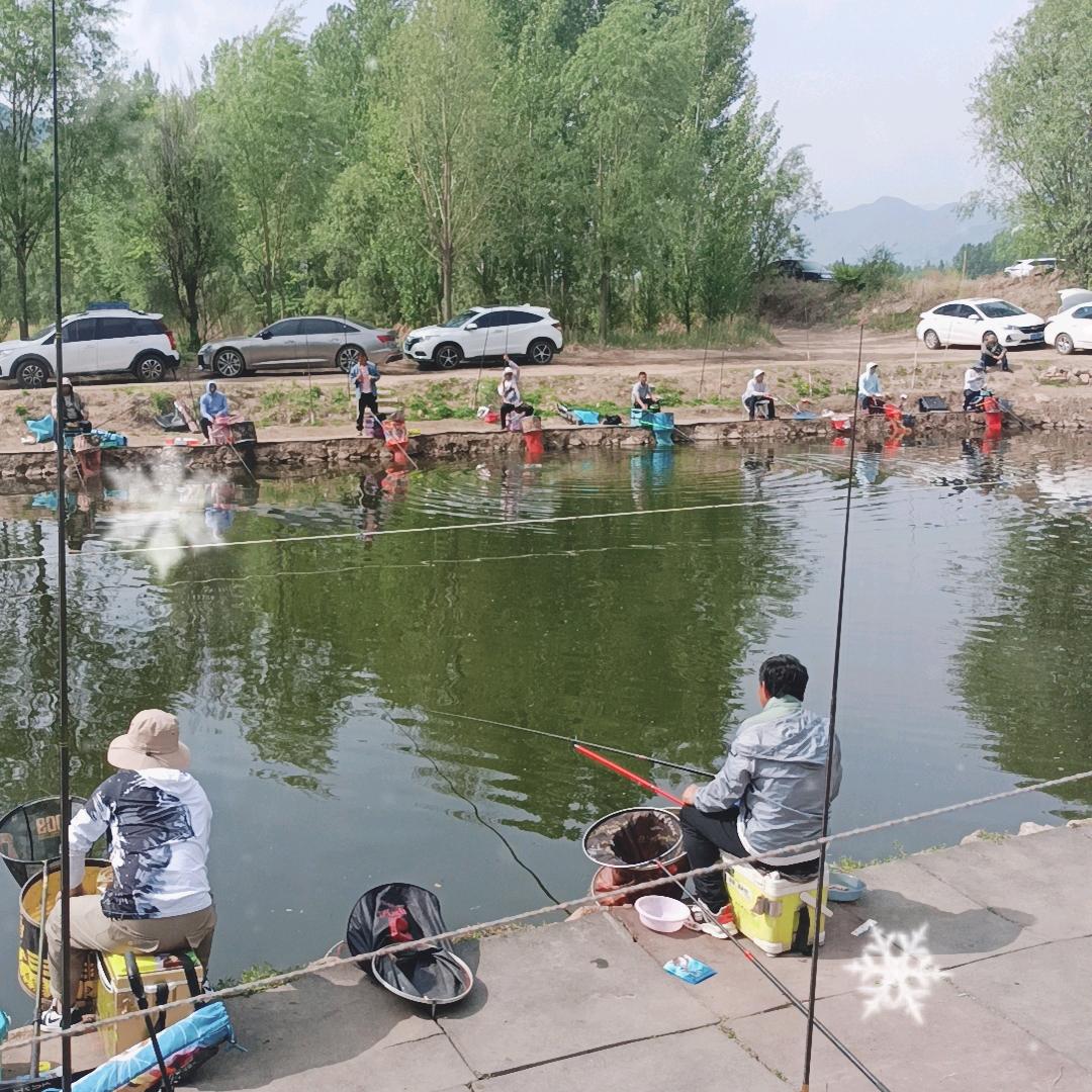 四合永豆芽地鱼池