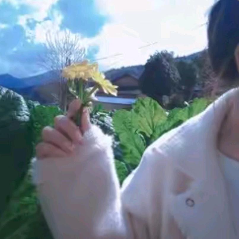 小芳芳
