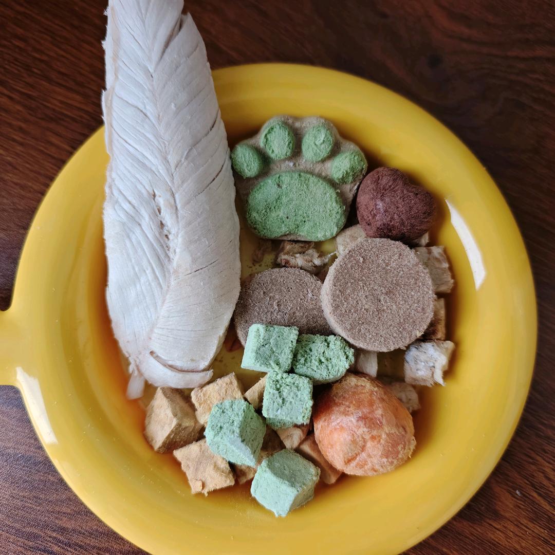 猫尔本宠物小铺