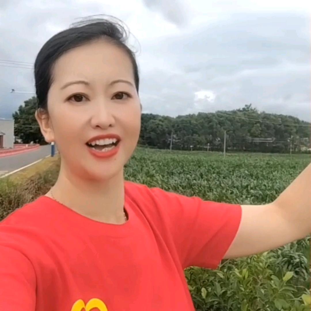 莙姐优选(15:30r)