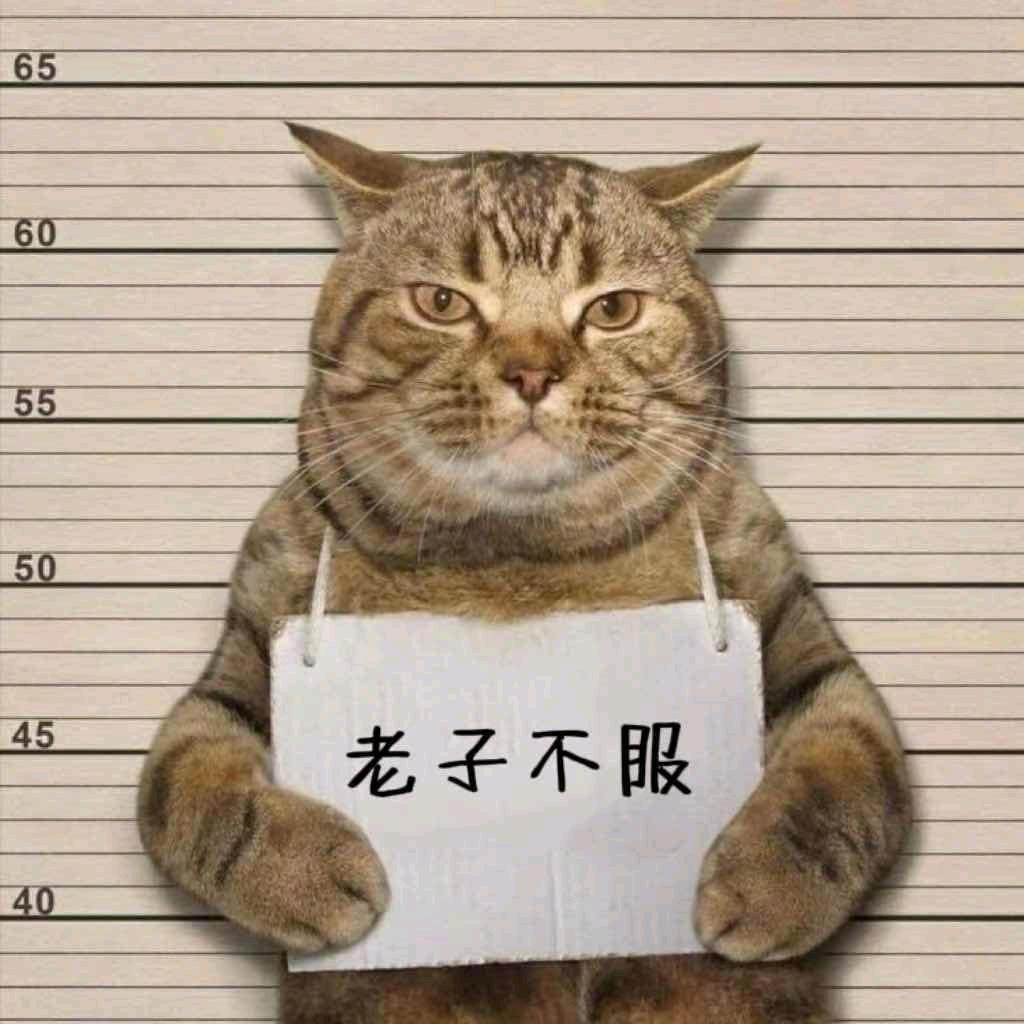 拾惠购