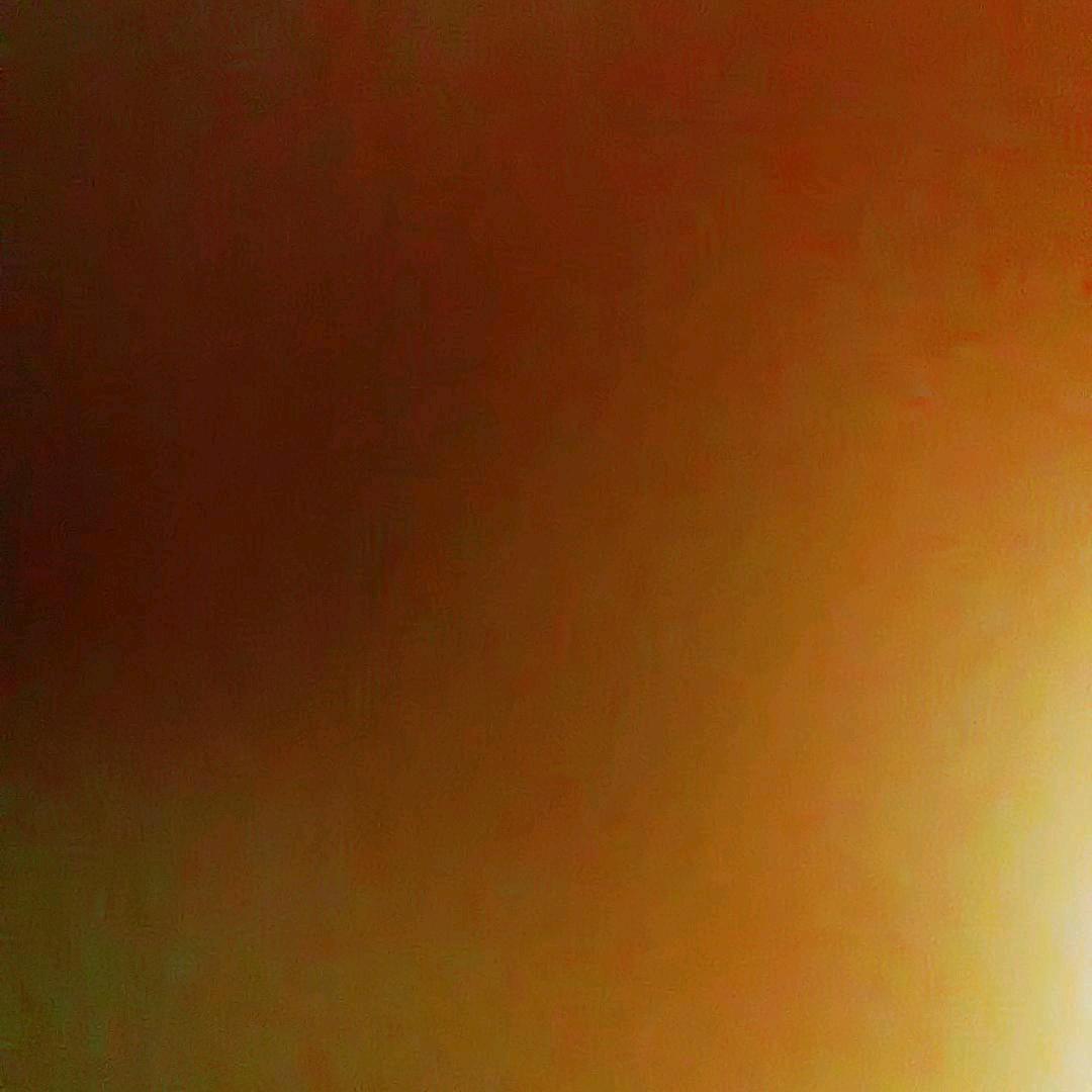 风中追风