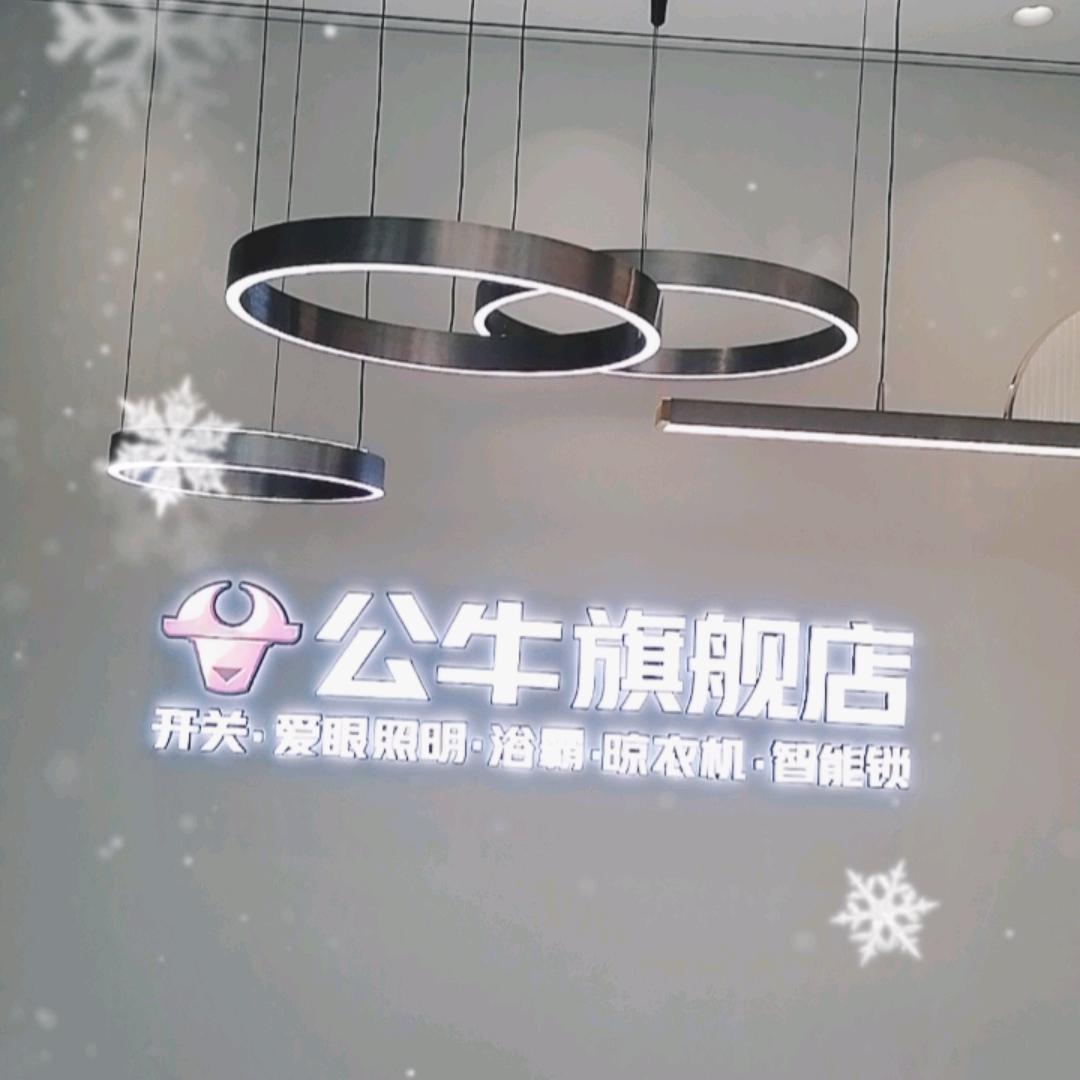 南召公牛开关插座照明