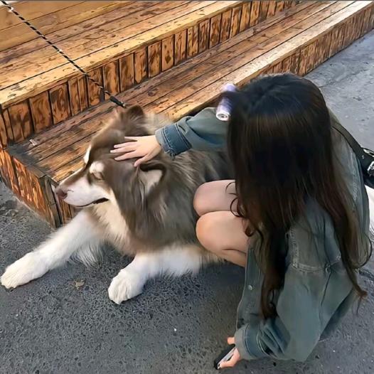 Lee堡堡.
