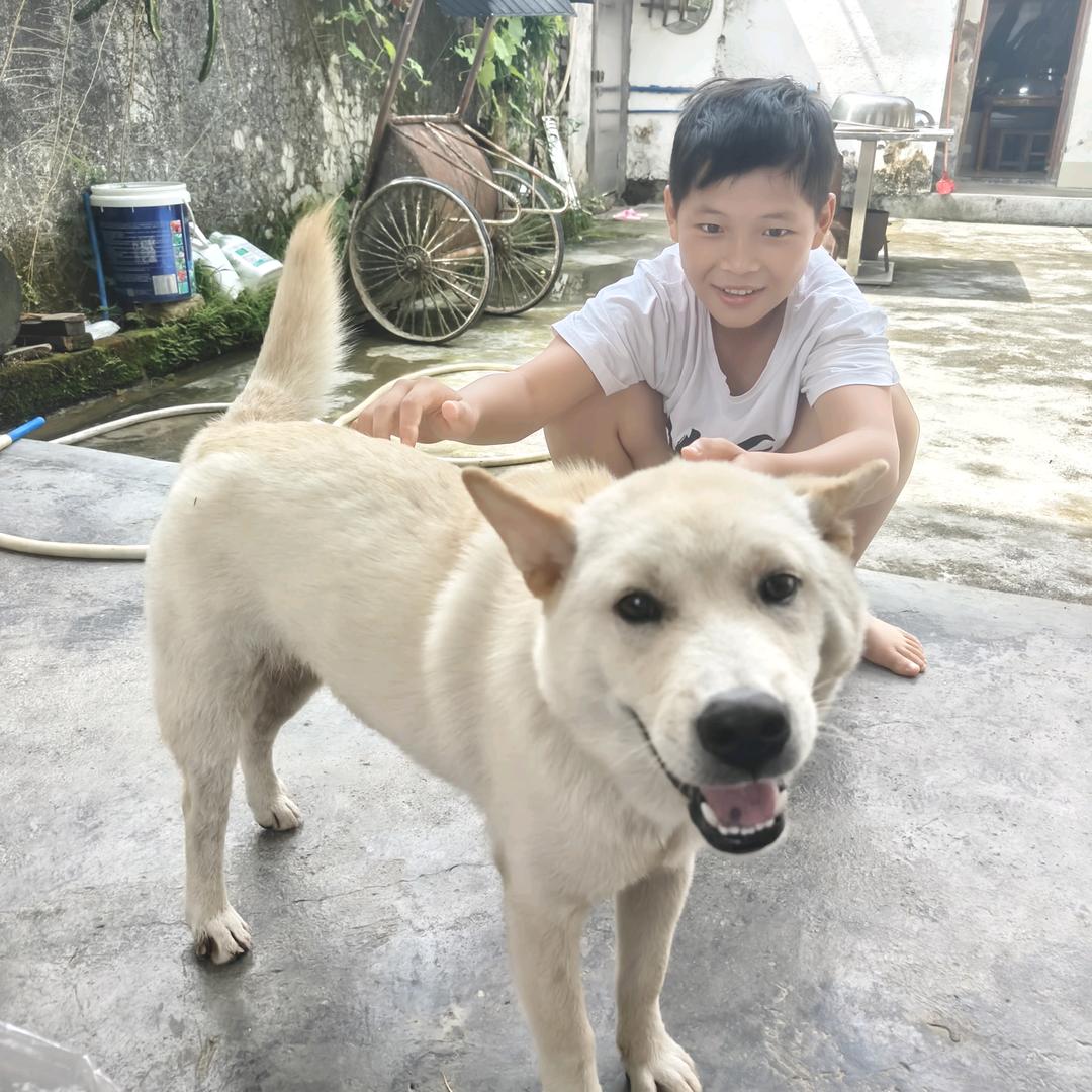 小罗罗
