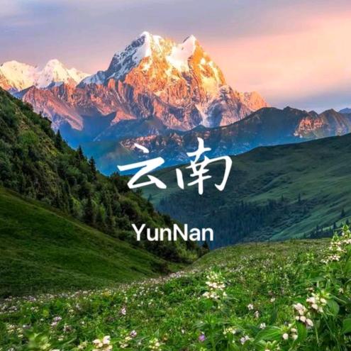 一亩三分地~植物农场