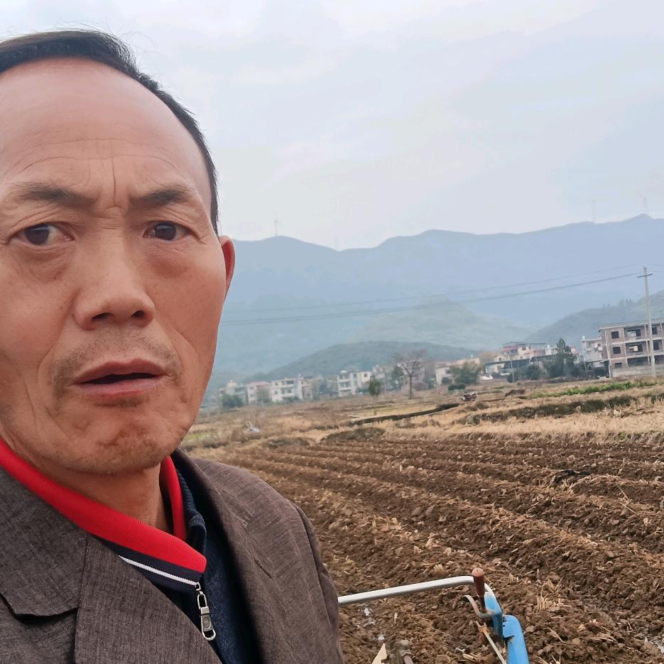 ₈₀²³゛世辉ꦿ᭄