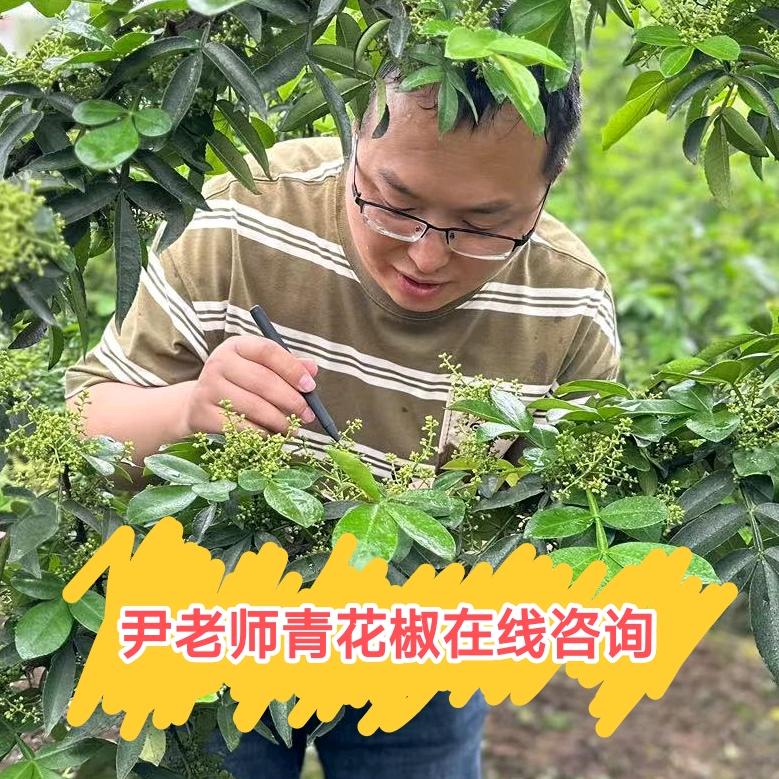 尹万讲调控